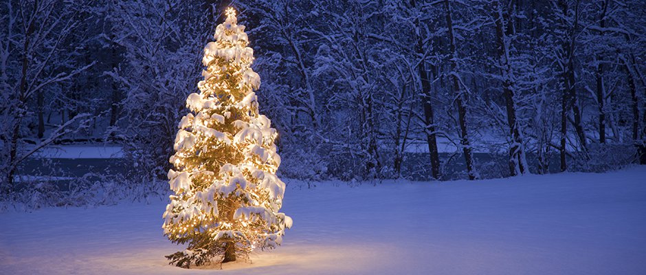 Weihnachtsferien Leuthardt AG 2016
